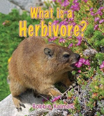 What Is a Herbivore? by Kalman, Bobbie