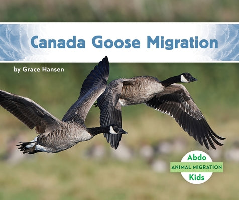 Canada Goose Migration by Hansen, Grace