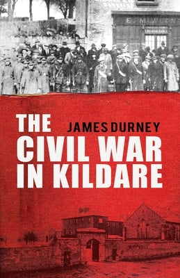 The Civil War in Kildare by Durney, James