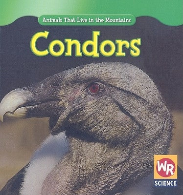Condors by Macken, JoAnn Early