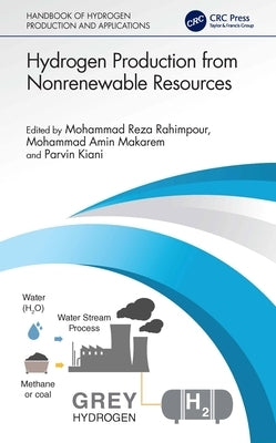 Hydrogen Production from Nonrenewable Resources by Rahimpour, Mohammad Reza