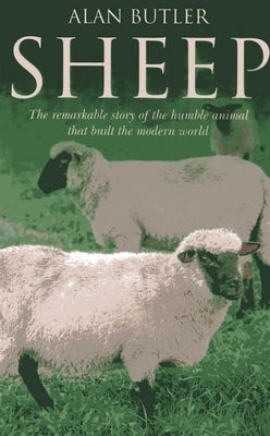 Sheep by Butler, Alan