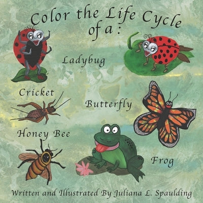 Color the Life Cycle of a Ladybug, Cricket, Butterfly, Honey Bee, and a Frog by Spaulding, Juliana L.