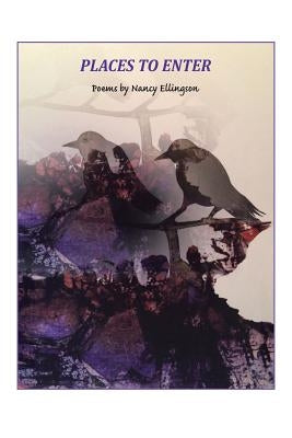 Places to Enter by Ellingson, Nancy