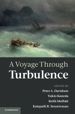 A Voyage Through Turbulence by Davidson, Peter A.