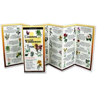 Common Wildflowers of Texas by Eason, Michael