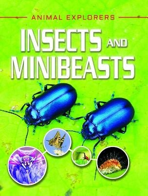 Insects and Minibeasts by Leach, Michael