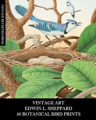 Vintage Art: Edwin L Sheppard:40 Botanical Bird Prints: Ornithology Ephemera for Framing, Home Decor and Collages by Press, Vintage Revisited