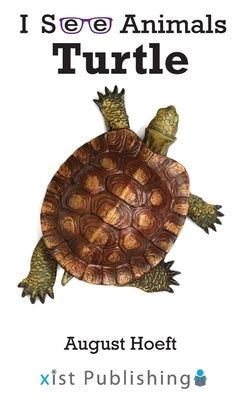 Turtle by Hoeft, August