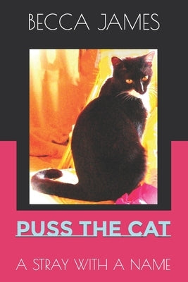 Puss the Cat: A Stray with a Name by Beap, Art