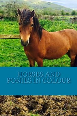 Horses and Ponies in Colour: Full colour photographs of various breeds of horse and pony by Cartmell, C.