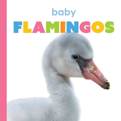 Baby Flamingos by Riggs, Kate