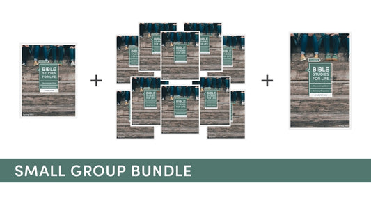 Bible Studies for Life: Students - Small Group Bundle - Spring 2023 by Lifeway Students