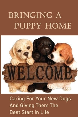 Bringing A Puppy Home: Caring For Your New Dogs And Giving Them The Best Start In Life: Raise The Perfect Dog by Vanaprasert, Loreen