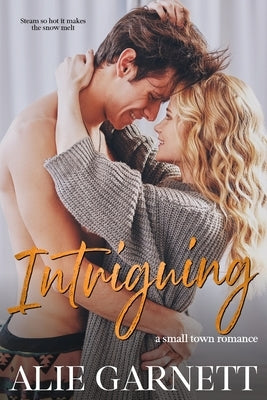 Intriguing: In a Small Town by Garnett, Alie