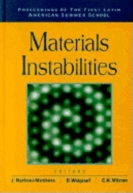 Materials Instabilities - Proceedings of the First Latin American Summer School by Walgraef, Daniel