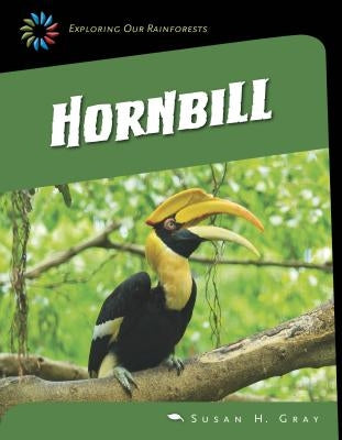 Great Hornbill by Gray, Susan H.