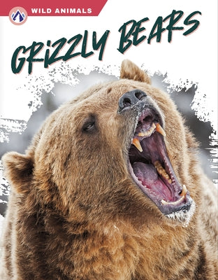 Grizzly Bears by Hamby, Rachel