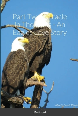 Part Two: Miracle In The Pines - An Eagles Love Story by Lord, Marti