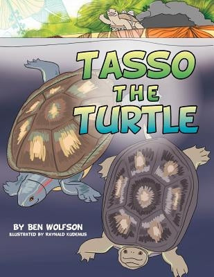 Tasso the Turtle by Wolfson, Ben
