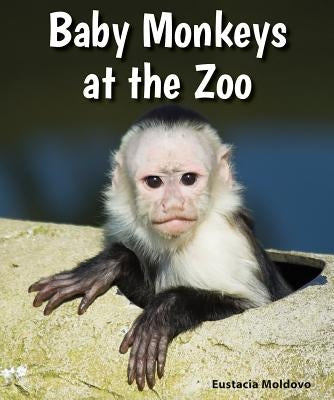 Baby Monkeys at the Zoo by Moldovo, Eustacia