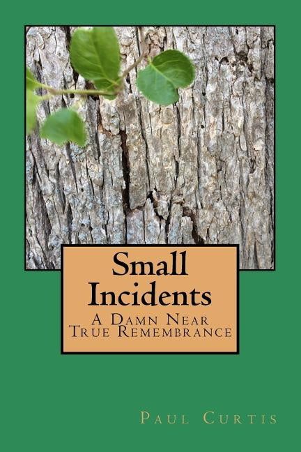 Small Incidents: A Damn Near True Remembrance by Curtis, Paul