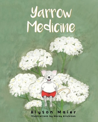 Yarrow Medicine by Maier, Alyson