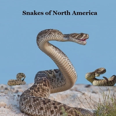 Snakes of North America Kids Book: Great Children's Book about the Types of Snakes in North America by Marie, Kinsey