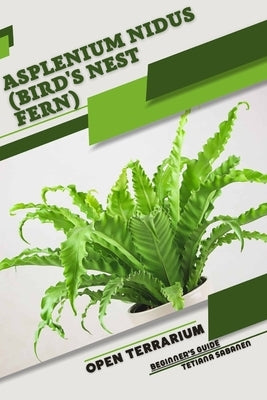 Asplenium nidus (Bird's Nest Fern): Open terrarium, Beginner's Guide by Sabanen, Tetiana