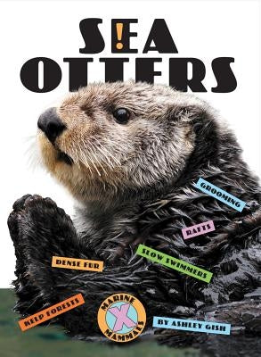Sea Otters by Gish, Ashley