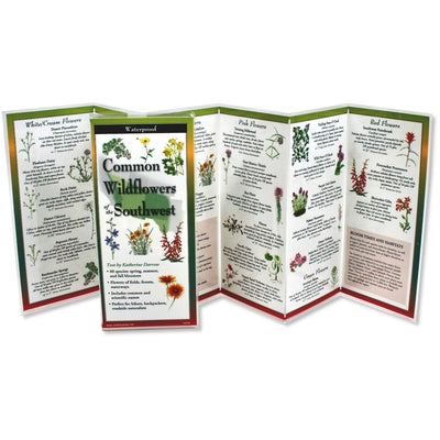 Common Wildflowers of the Southwest by Darrow, Katherine