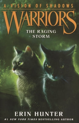 Raging Storm by Hunter, Erin