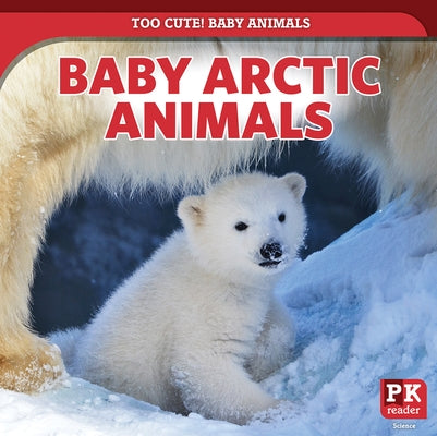 Baby Arctic Animals by Morlock, Rachael