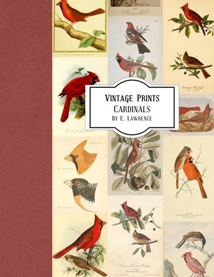 Vintage Prints: Cardinals by Lawrence, E.