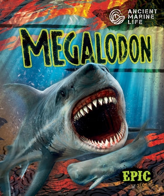 Megalodon by Moening, Kate