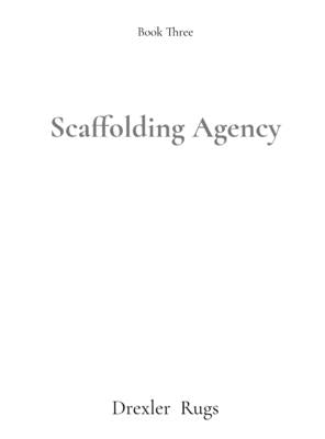 Scaffolding Agency by Rugs, Drexler