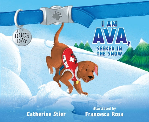 I Am Ava, Seeker in the Snow: Volume 2 by Stier, Catherine