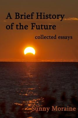 A Brief History of the Future: collected essays by Moraine, Sunny