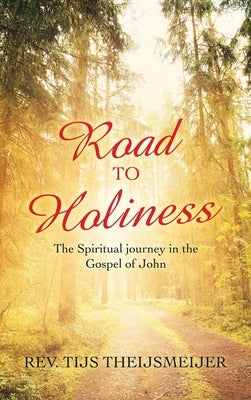 Road to Holiness: The Spiritual Journey in the Gospel of John by Theijsmeijer, Tijs