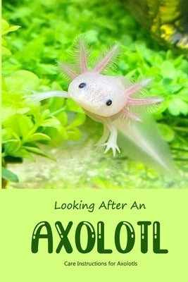 Looking After An Axolotl: Care Instructions for Axolotls by Bradley, Iris