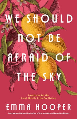 We Should Not Be Afraid of the Sky by Hooper, Emma