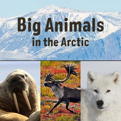 Big Animals in the Arctic: English Edition by Education, Inhabit