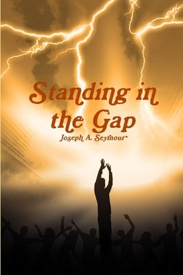 Standing in the Gap by Seymour, Joseph A.
