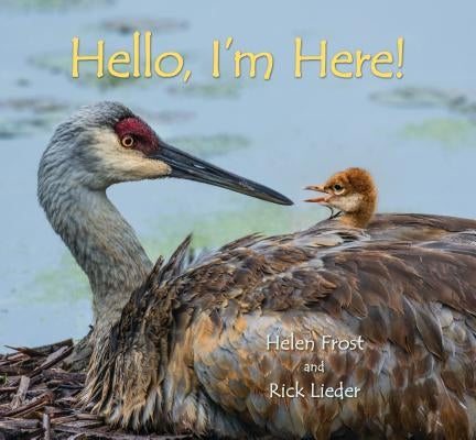 Hello, I'm Here! by Frost, Helen