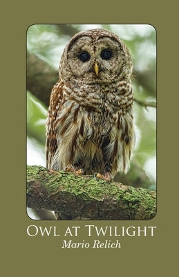 Owl at Twilight by Relich, Mario