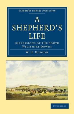 A Shepherd's Life: Impressions of the South Wiltshire Downs by Hudson, William Henry