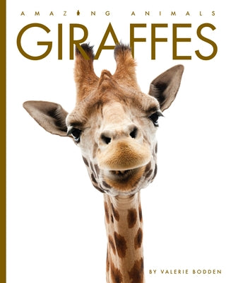 Giraffes by Bodden, Valerie