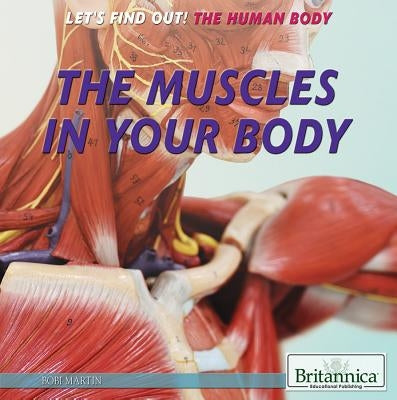 The Muscles in Your Body by Martin, Bobi