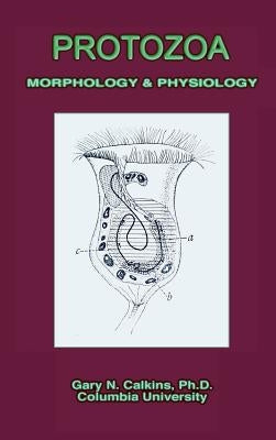 Protozoa Morphology & Physiology (Microbiology Series) by Calkins, Gary N.