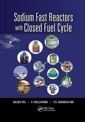 Sodium Fast Reactors with Closed Fuel Cycle by Raj, Baldev